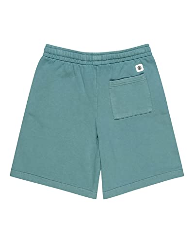 element-cornell-3-0-short-youth-shorts-jungen image 4