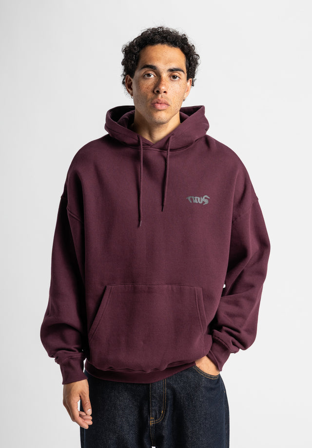titus-crew-hoodie-oversize-streetwear-mit-backprint image 3