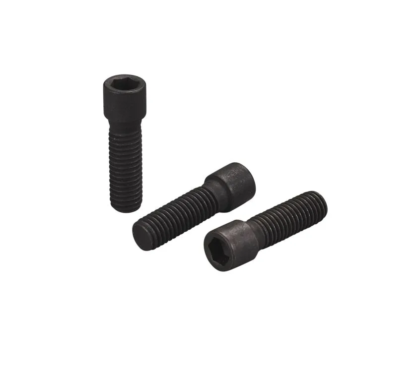 chilli-pro-scooter-clamp-screw-3000-5000-m8-x-25mm-ersatzschraube image 1