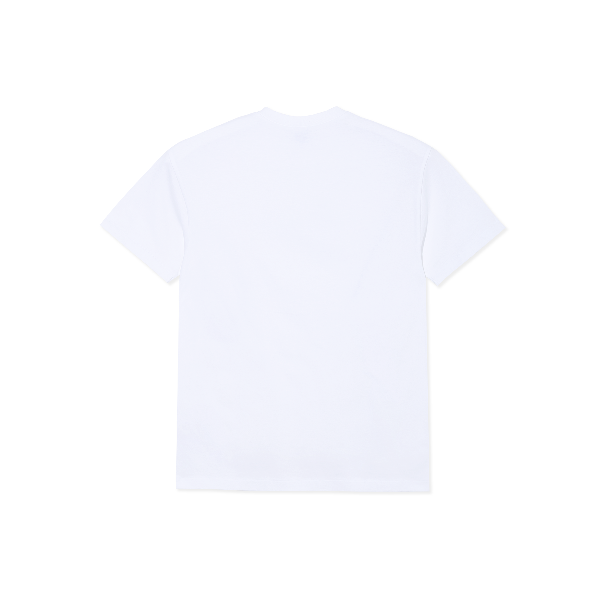 polar-skate-co-band-tee-mootivation-wei image 2