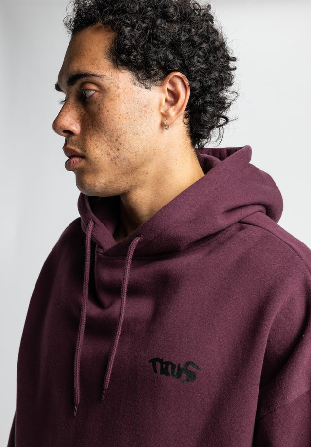 titus-crew-hoodie-oversize-streetwear-mit-backprint image 4