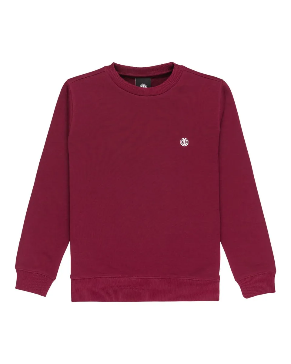 element-icon-embroidery-cr-y-sweatshirt-f-r-jungen-8-16-elbft00144 image 1