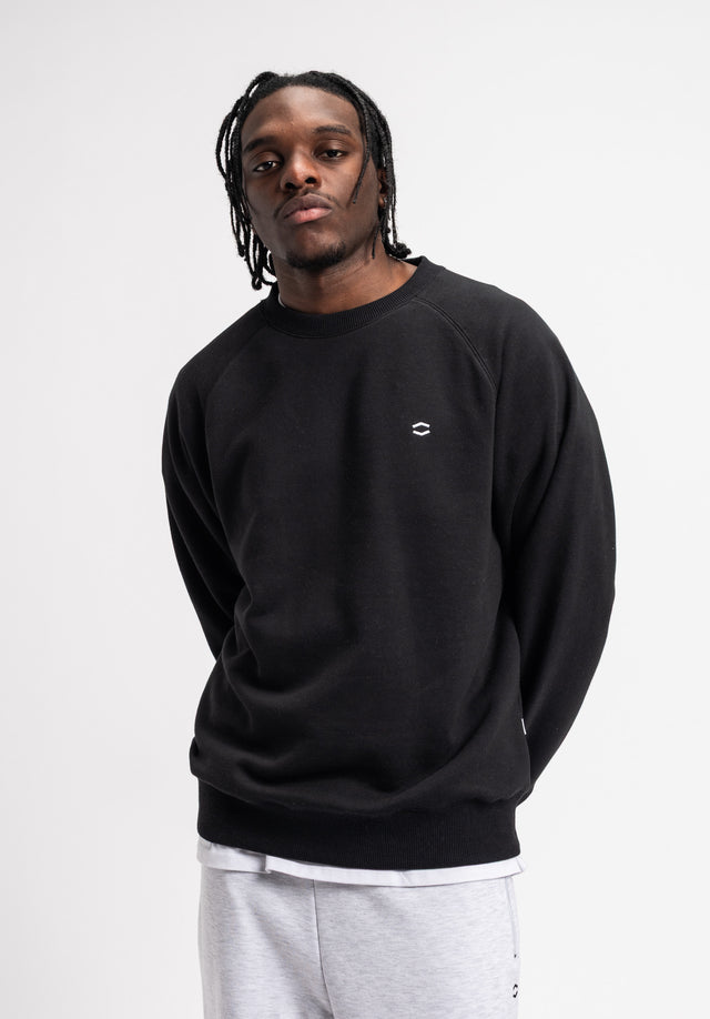 titus-hxgn-sweatshirt-420-g-m-heavyweight-regular-fit-mit-raglan-rmeln-und-hxgn--2 image 2