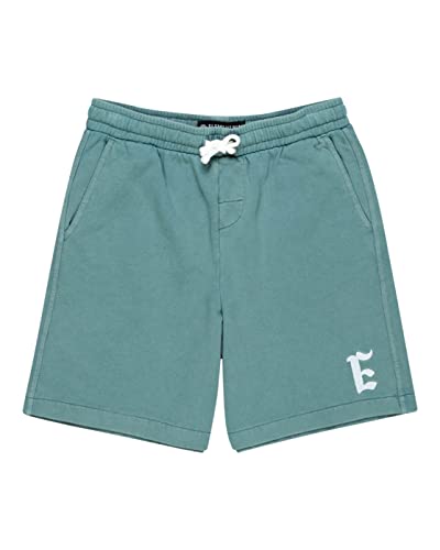 element-cornell-3-0-short-youth-shorts-jungen image 3