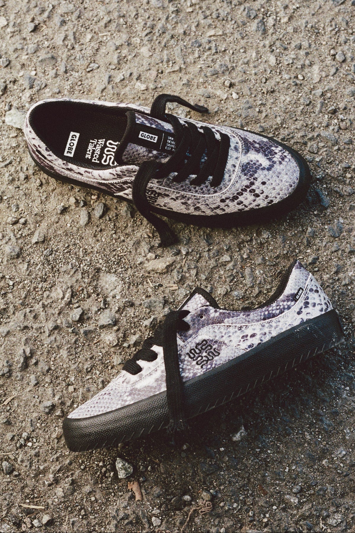 globe-melbek-wasted-talent-black-snake-skateboard-schuh image 4