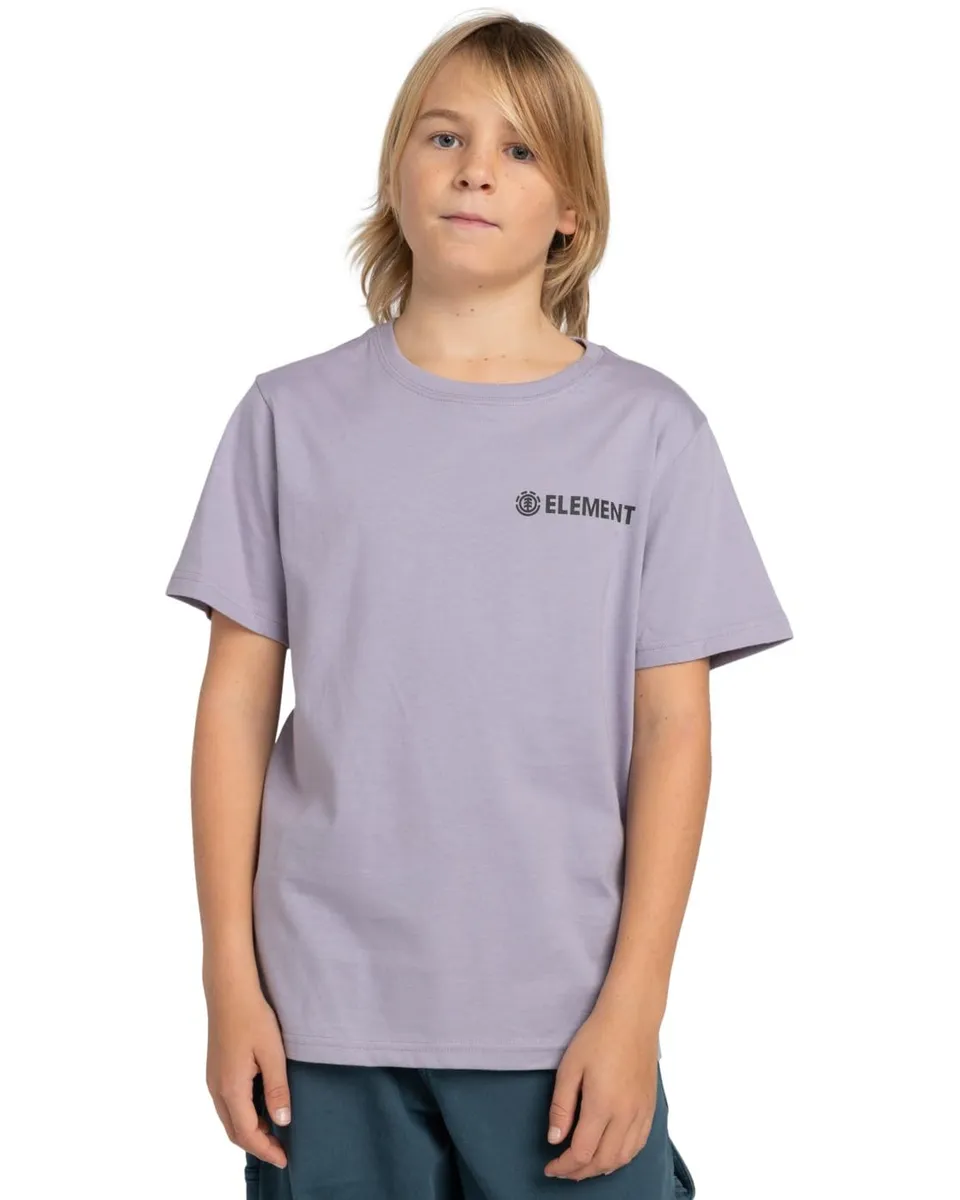 element-blazin-chest-ss-youth-jungen-t-shirt-kurzarm-2 image 1