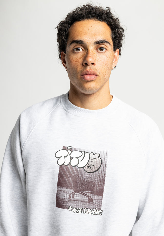 titus-shopping-cart-sweater-graffiti-logo-lost-cart-design-raglan-rmel image 3