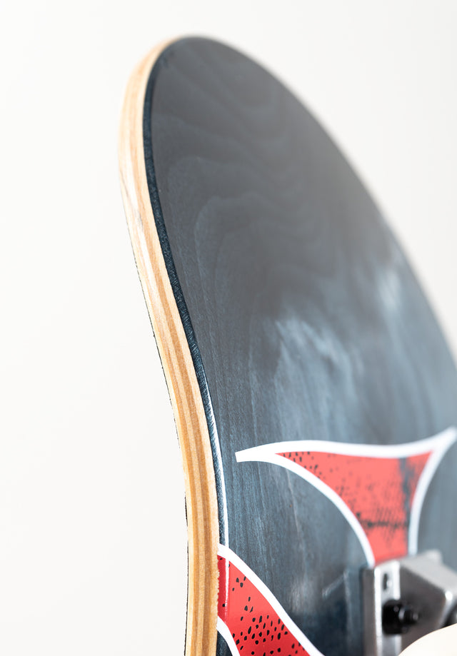 titus-classic-logo-skateboard-komplettboard-54mm-101a-trick-setup image 6