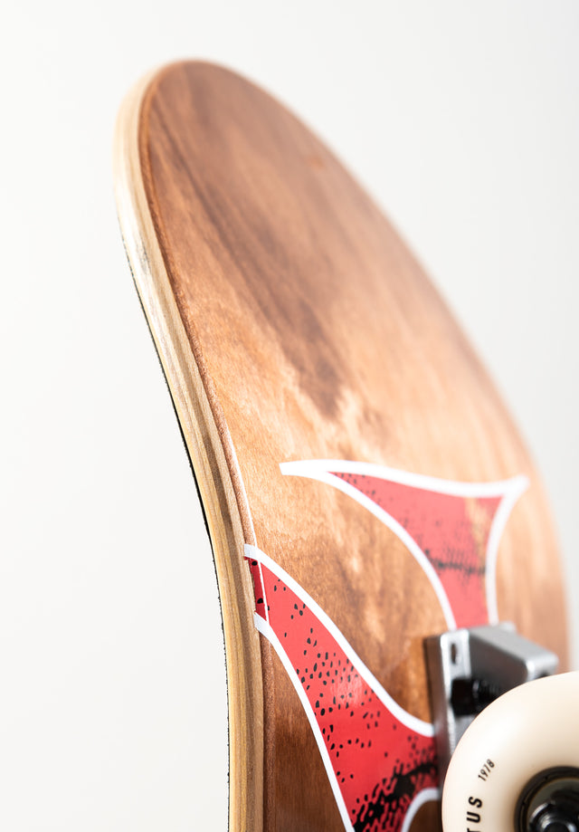 titus-classic-logo-skateboard-komplettboard-7-ply-ahorn-54mm-101a image 6
