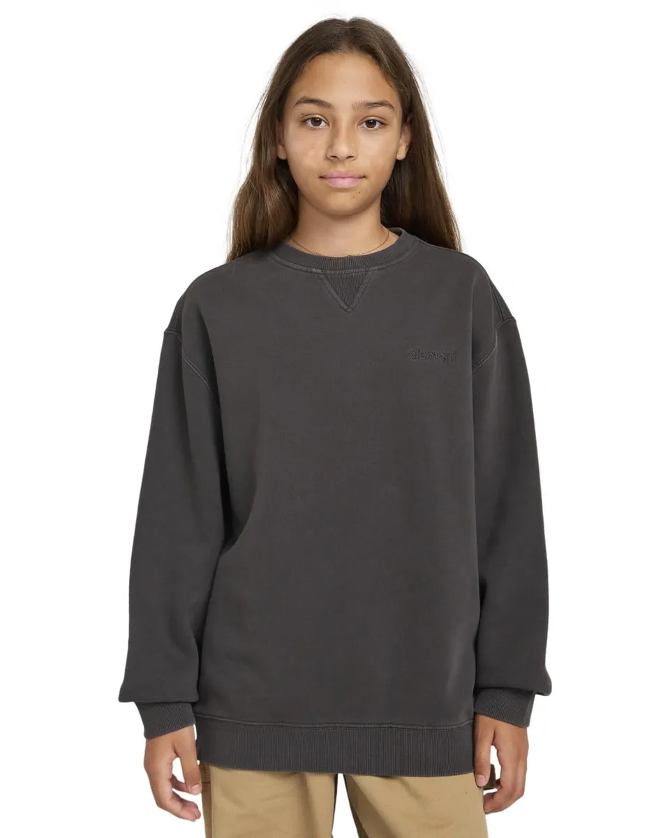 element-lowcase-pigment-elbft00130-sweatshirt-jungen-8-16 image 1