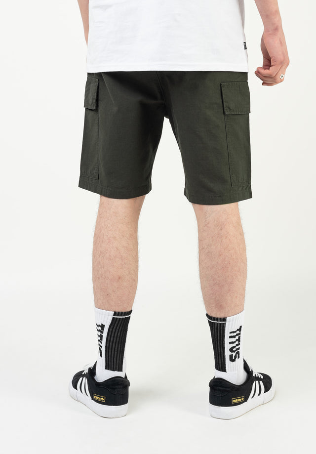 titus-lono-cargoshorts-regular-fit-shorts image 2