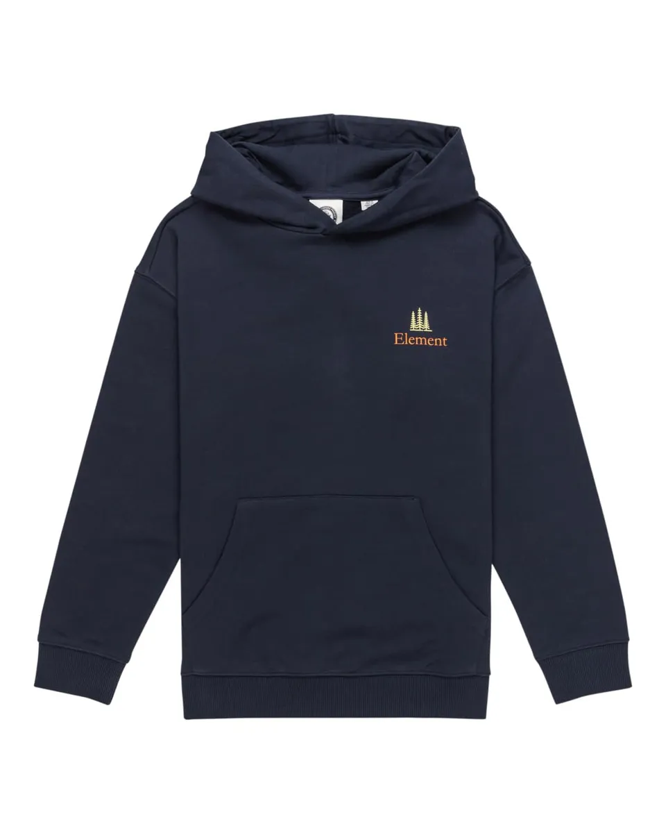 element-sbxe-remember-po-youth-jungen-hoodie-fleece image 1