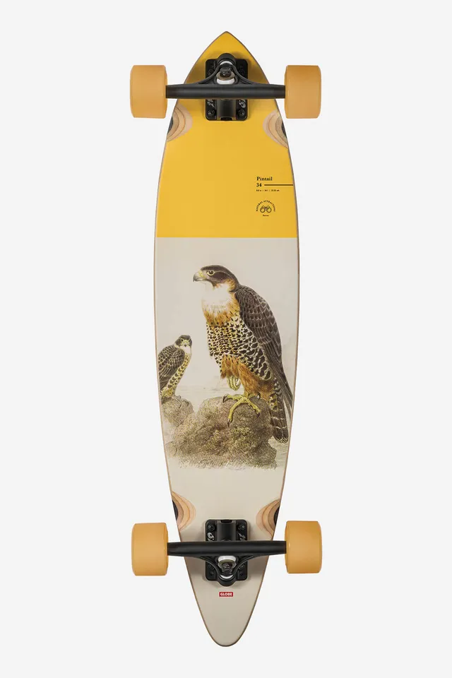 globe-pintail-34-longboard-falcon-resin-7-hard-rock-maple-180mm-slant-trucks-70m image 1