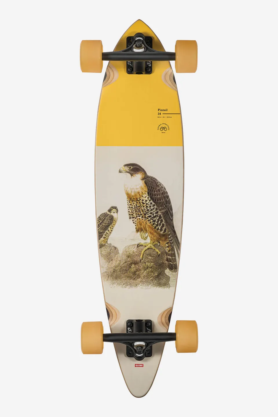 globe-pintail-34-longboard-falcon-resin-7-hard-rock-maple-180mm-slant-trucks-70m image 1