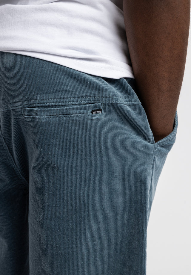 titus-surpa-short-herren-shorts-loose-fit image 3