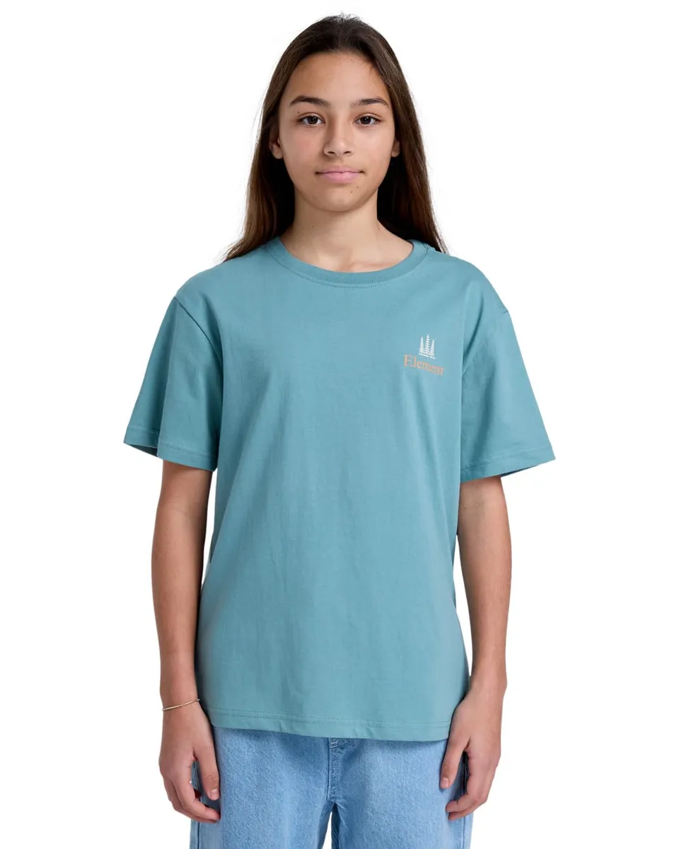 element-elbzt00223-t-shirt-f-r-jungen-8-16-organic-cotton image 1