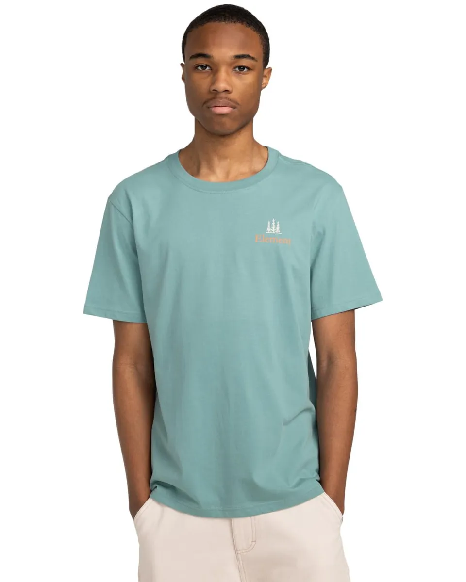 element-herren-sbxe-remember-ss-t-shirt-100-organic-cotton-1er-pack image 1