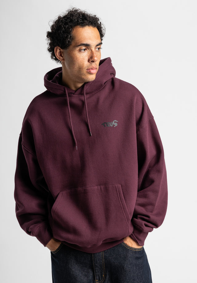 titus-crew-hoodie-oversize-streetwear-mit-backprint image 2