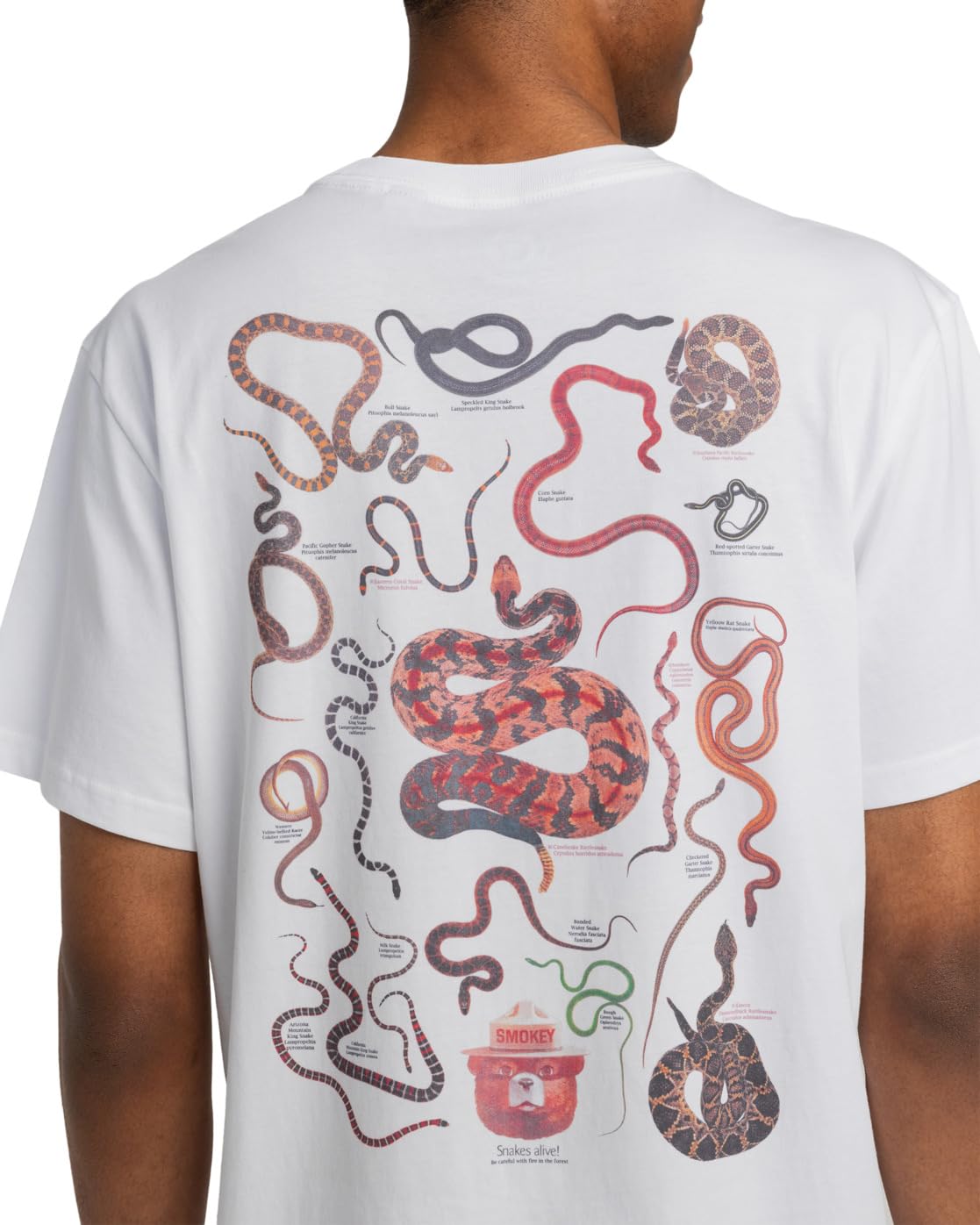 element-sbxe-nest-elyzt00516-t-shirt-herren image 2